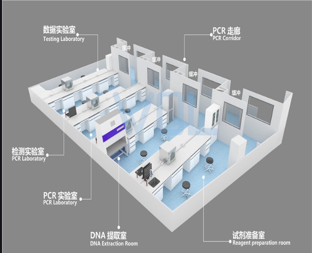 PCR实验室设计装修